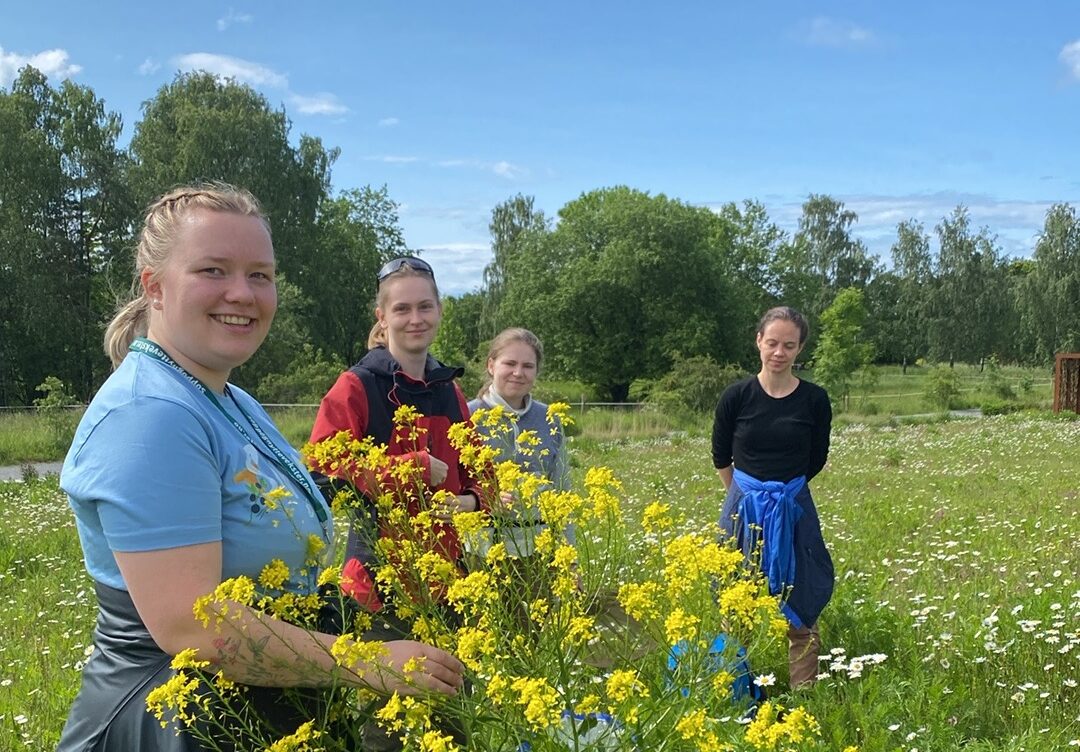Fire personer står i en blomstereng. Personen i front holder en stor russekålplante